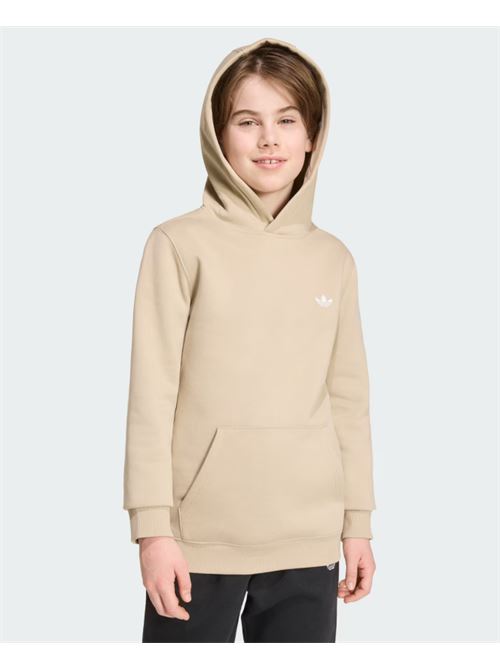 regular hoodie ADIDAS ORIGINAL | KR0881KHATHR